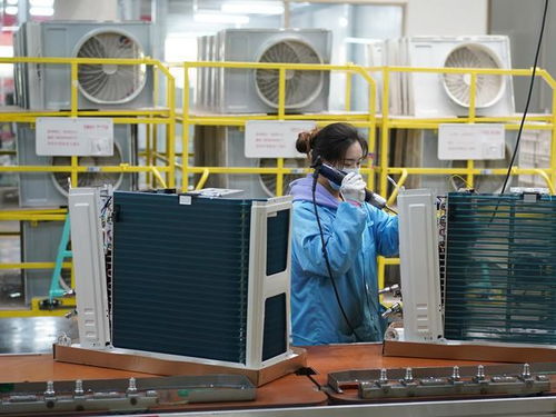 穩(wěn)字當(dāng)頭抓落實(shí)，增品種、提品質(zhì)、創(chuàng)品牌 三措并舉驅(qū)動(dòng)家電產(chǎn)業(yè)高質(zhì)量發(fā)展